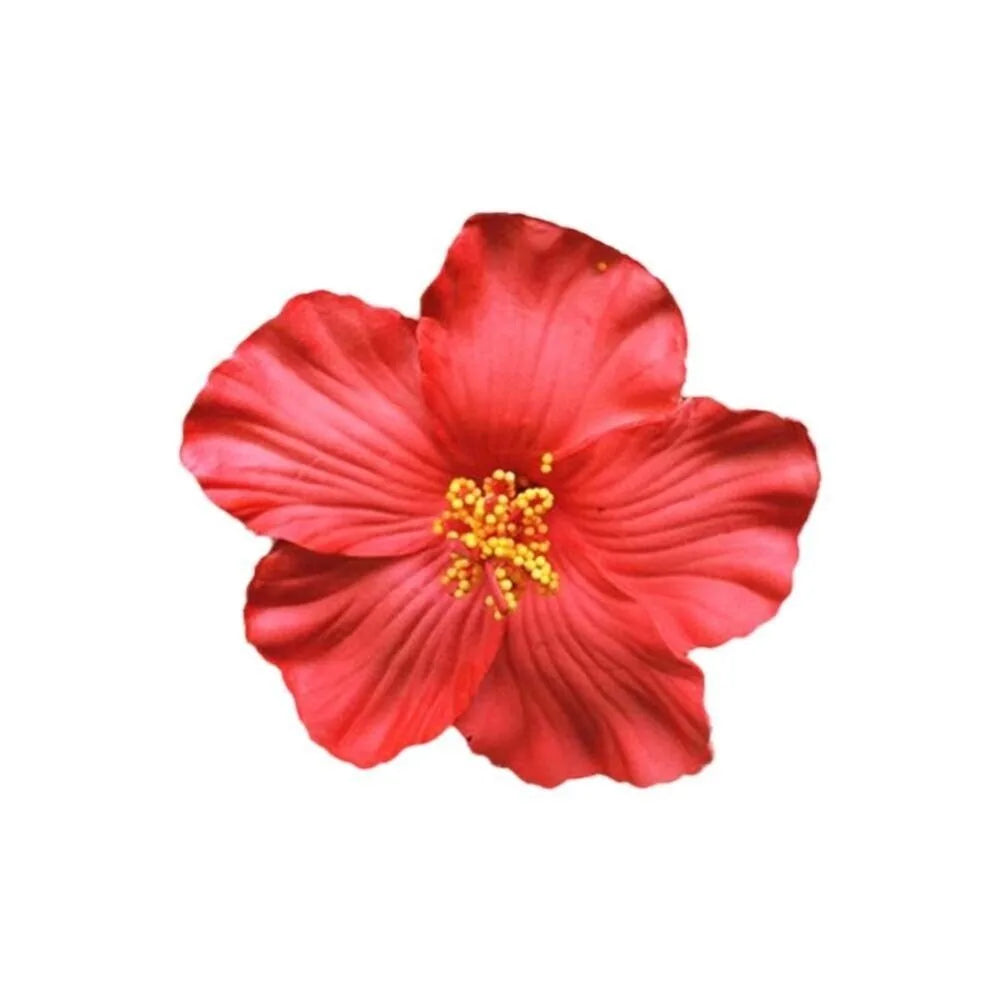 Hawaiian Colorful Flower Hair Clip For Women Girls Romantic Bohemian Flower Side Bangs Clip BB Hair Clips Hair Accessories