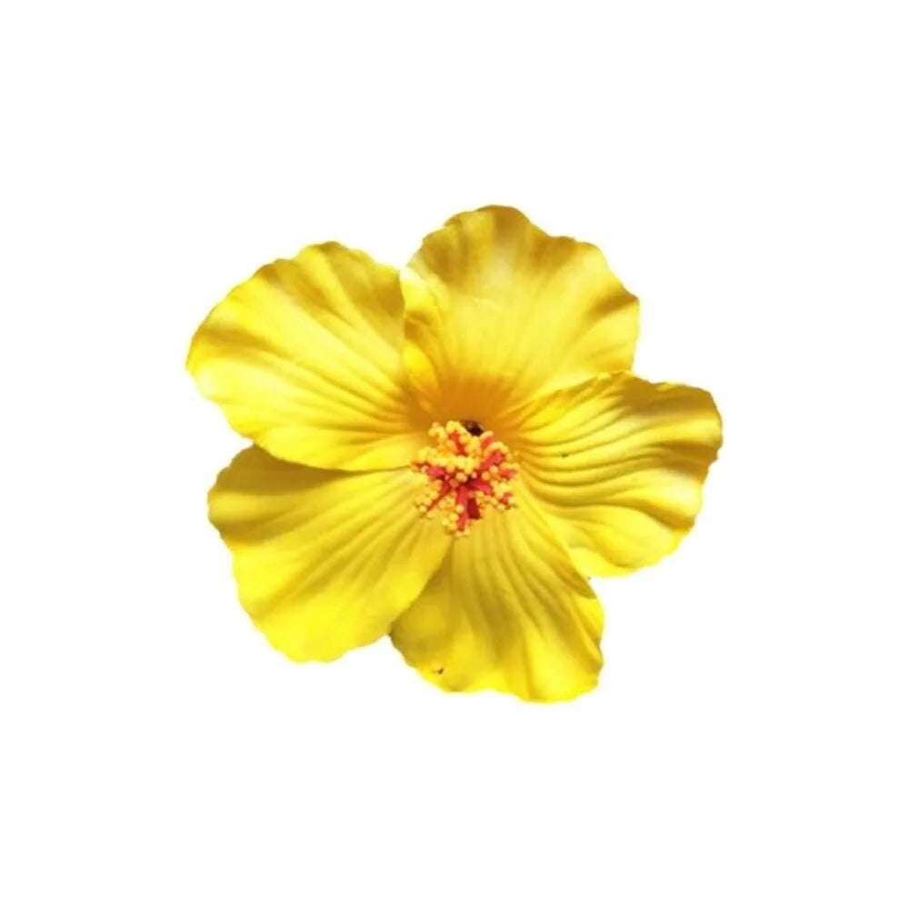 Hawaiian Colorful Flower Hair Clip For Women Girls Romantic Bohemian Flower Side Bangs Clip BB Hair Clips Hair Accessories