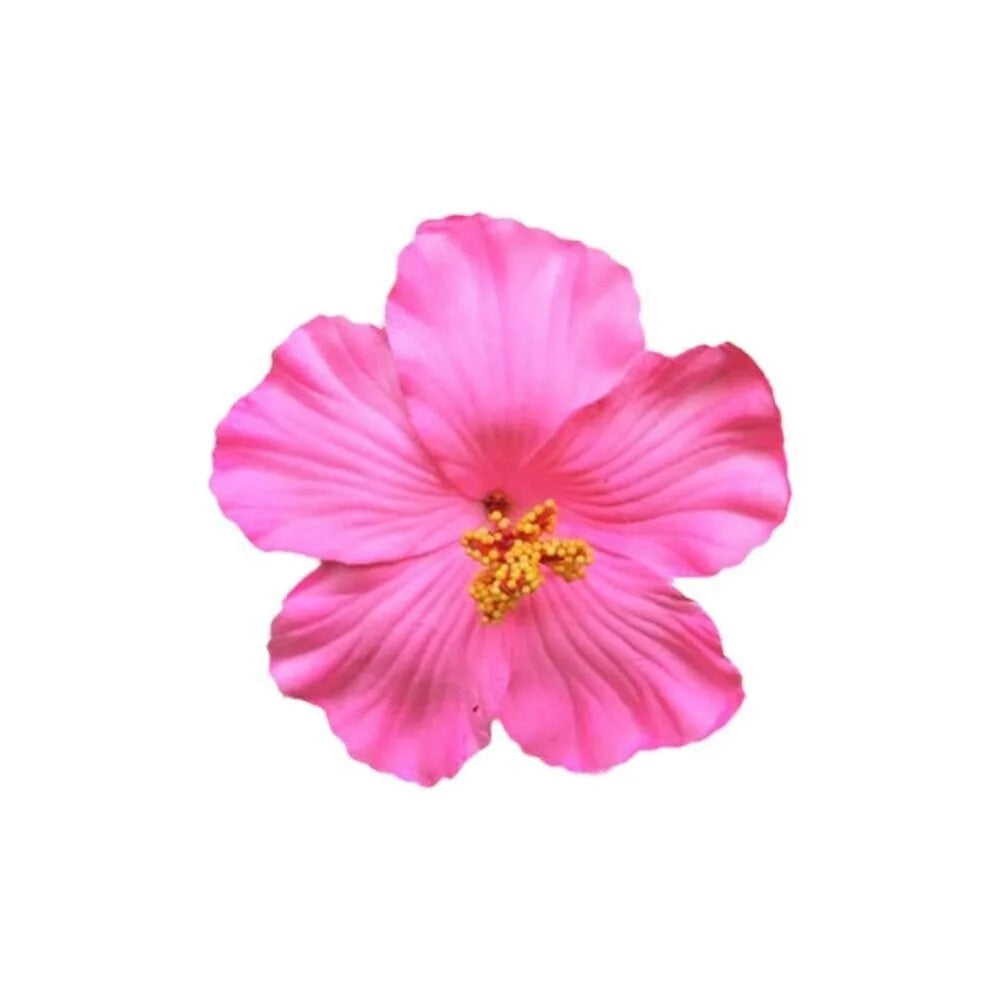 Hawaiian Colorful Flower Hair Clip For Women Girls Romantic Bohemian Flower Side Bangs Clip BB Hair Clips Hair Accessories