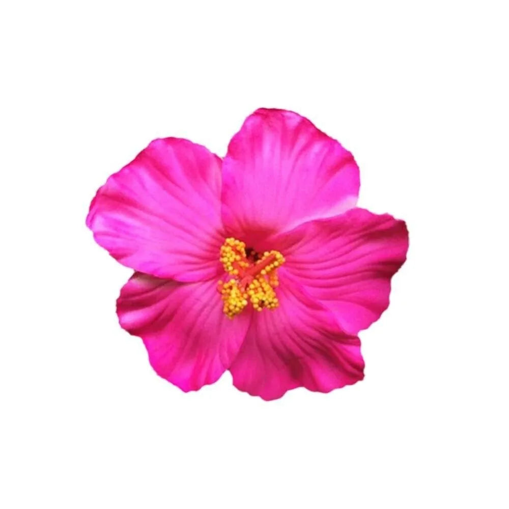 Hawaiian Colorful Flower Hair Clip For Women Girls Romantic Bohemian Flower Side Bangs Clip BB Hair Clips Hair Accessories