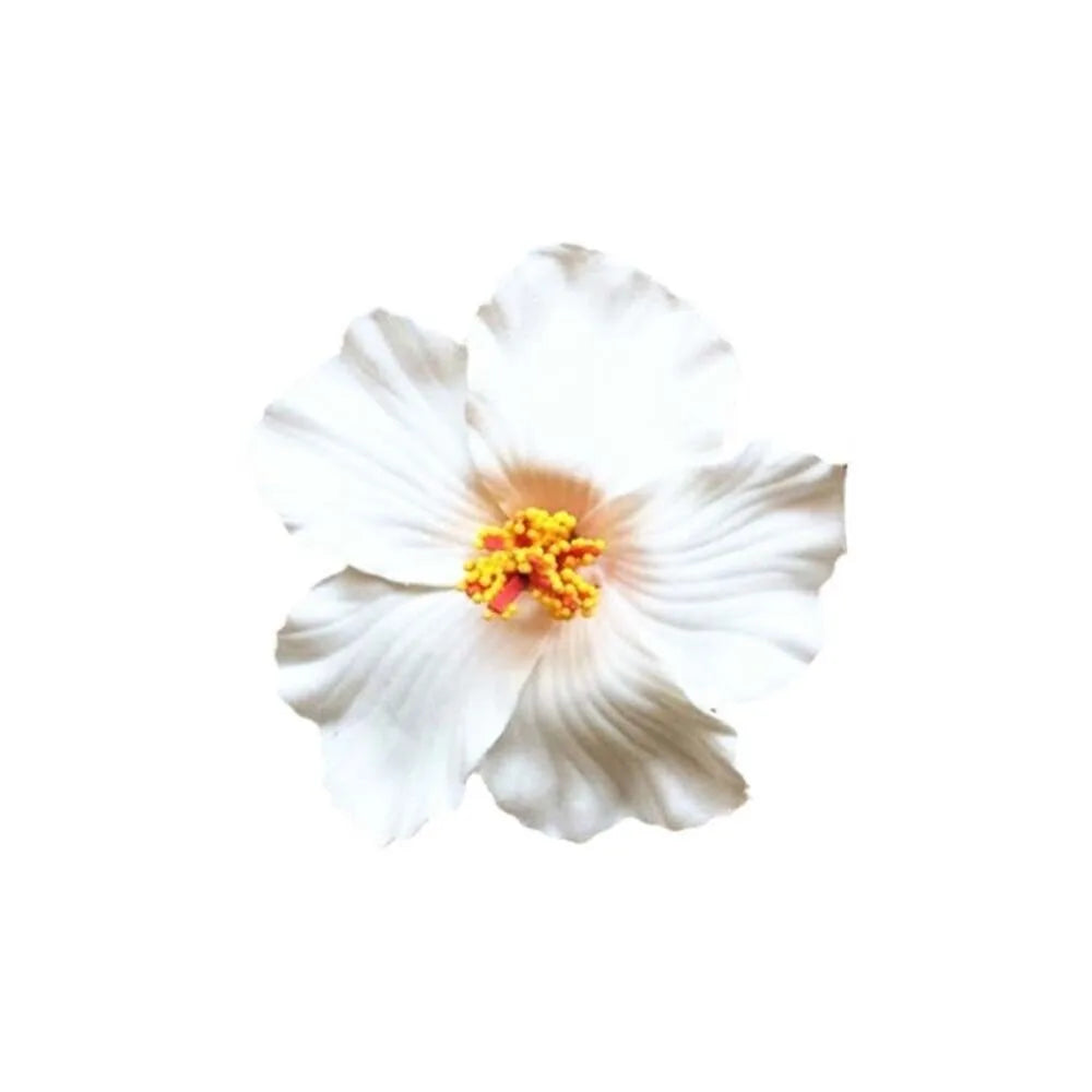 Hawaiian Colorful Flower Hair Clip For Women Girls Romantic Bohemian Flower Side Bangs Clip BB Hair Clips Hair Accessories