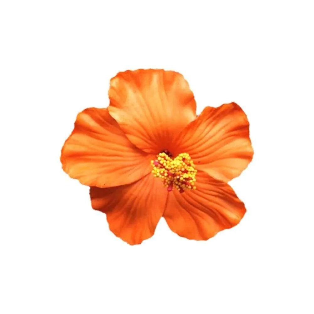Hawaiian Colorful Flower Hair Clip For Women Girls Romantic Bohemian Flower Side Bangs Clip BB Hair Clips Hair Accessories