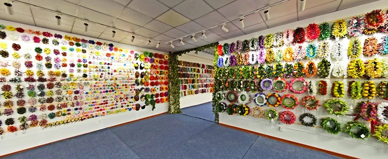 2025 Summer Hawaii Hula Dance Single Pa'u Skirt Floral Print Women Wear Paw Skirt Party Decoration Fashion Performace Dress