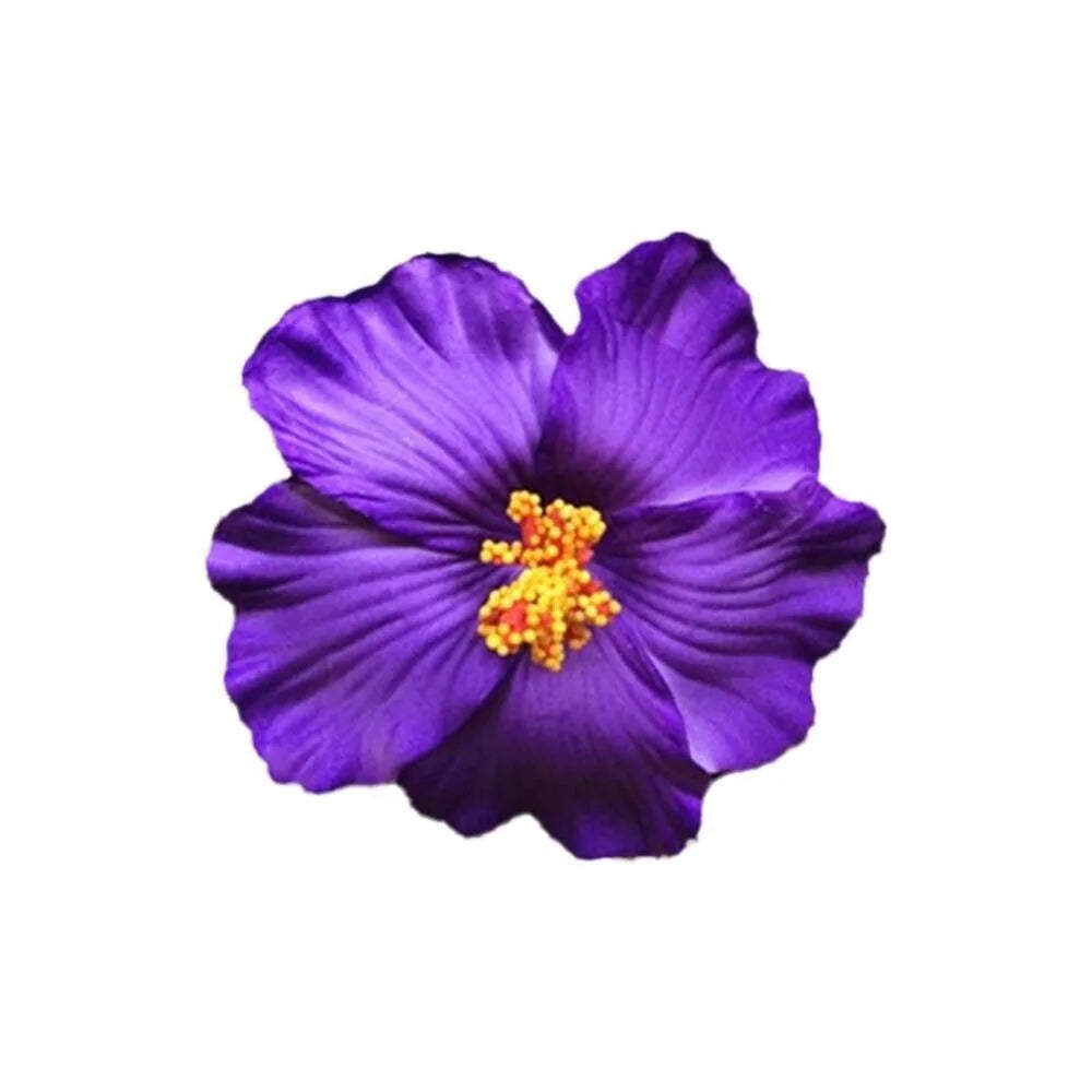 Hawaiian Colorful Flower Hair Clip For Women Girls Romantic Bohemian Flower Side Bangs Clip BB Hair Clips Hair Accessories